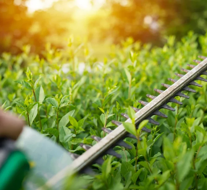 6_HEdge_Trimming_Cleanup_Hacks-min