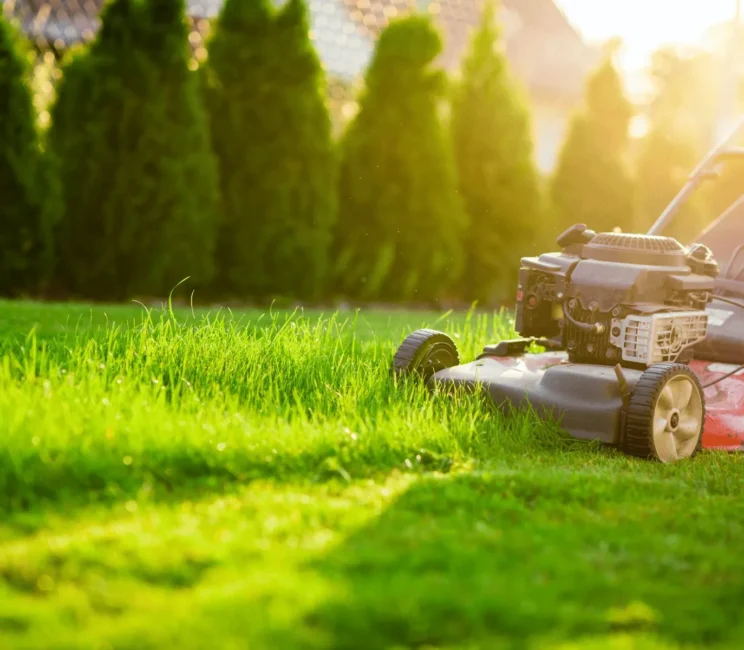Blog-Post-Featured-Pic-lawn-care