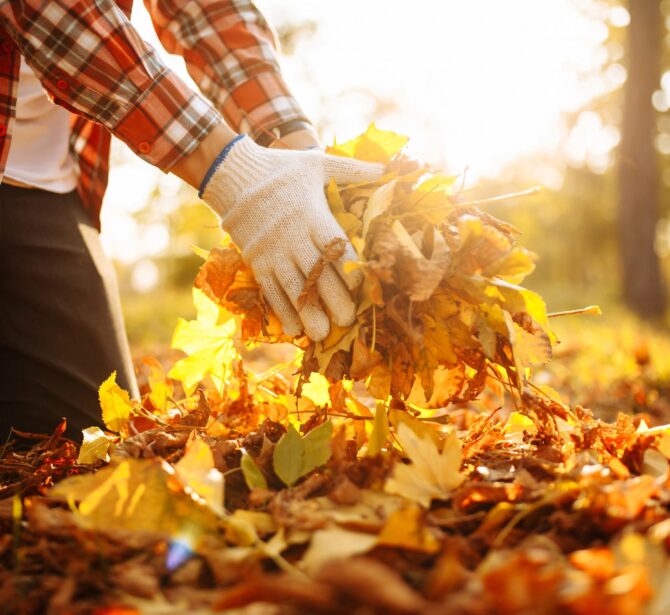 Fall-clean-up-scaled