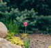 10 Questions To Ask Before Hiring A Landscaper In Kildare